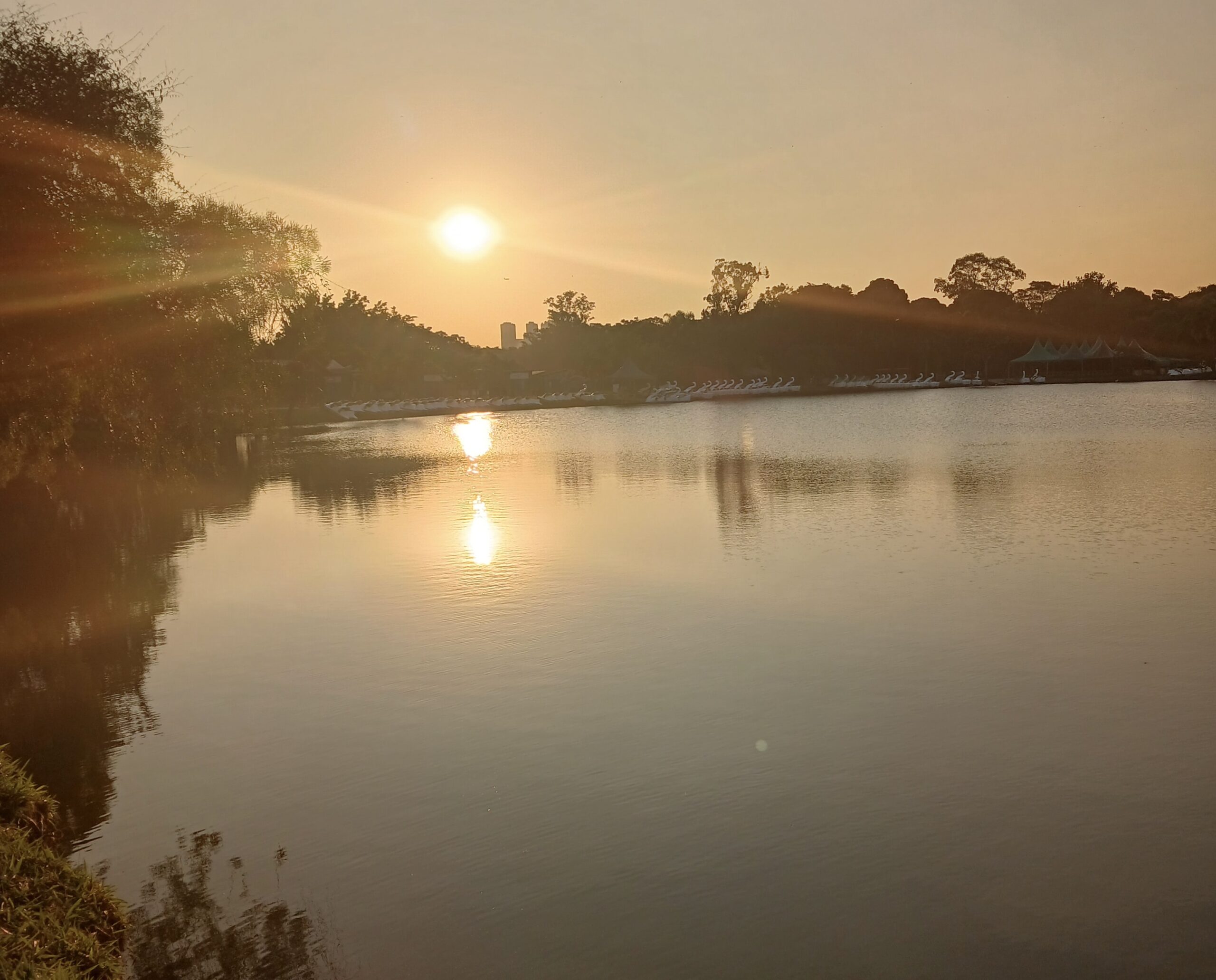 O que fazer no feriado de 9 de julho em São Paulo? Veja 6 passeios gratuitos na natureza