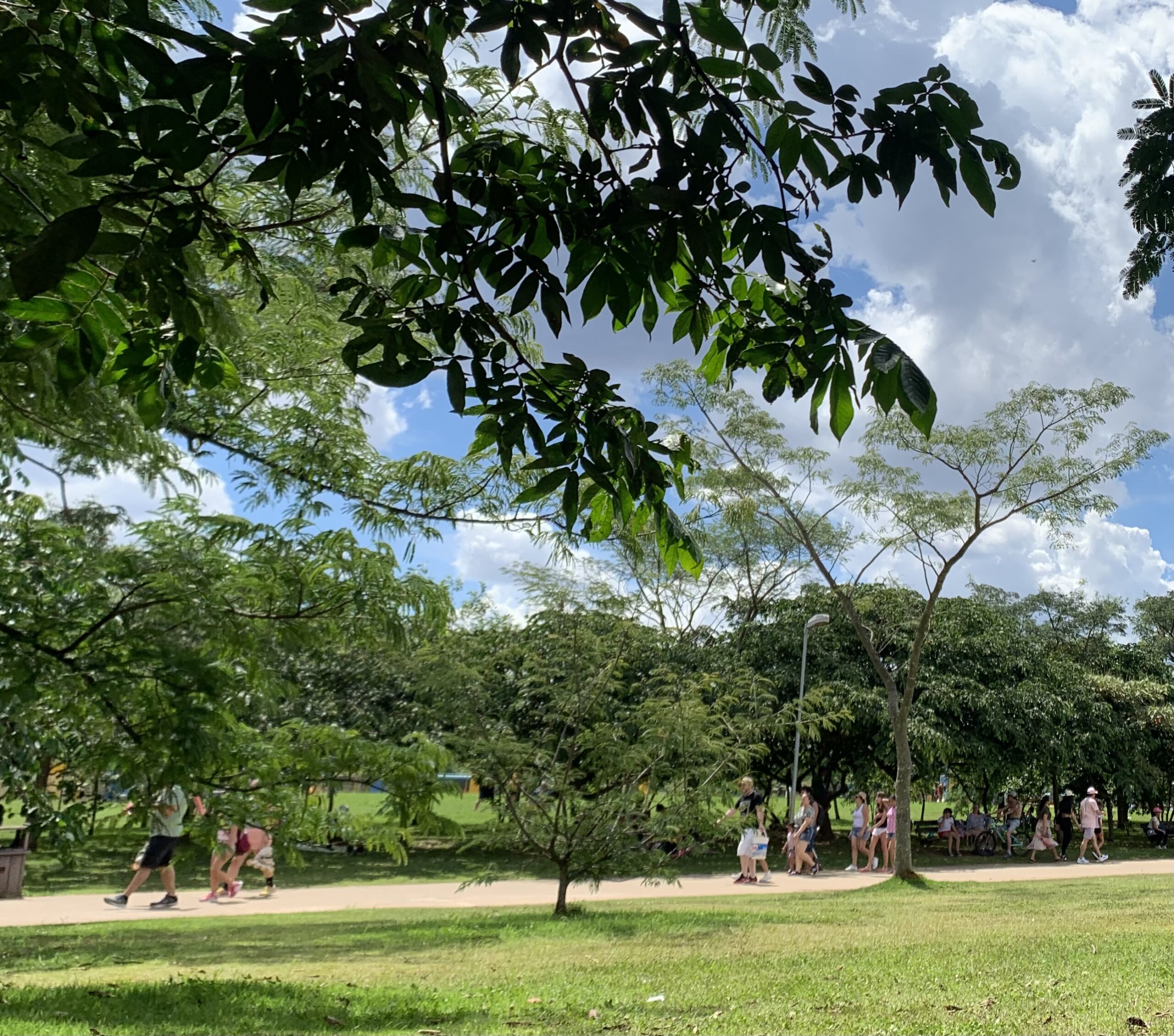 O que fazer no feriado de 9 de julho em São Paulo? Veja 6 passeios gratuitos na natureza img 2808