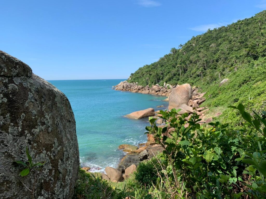 TRilha Em Florianopolis 1024x766