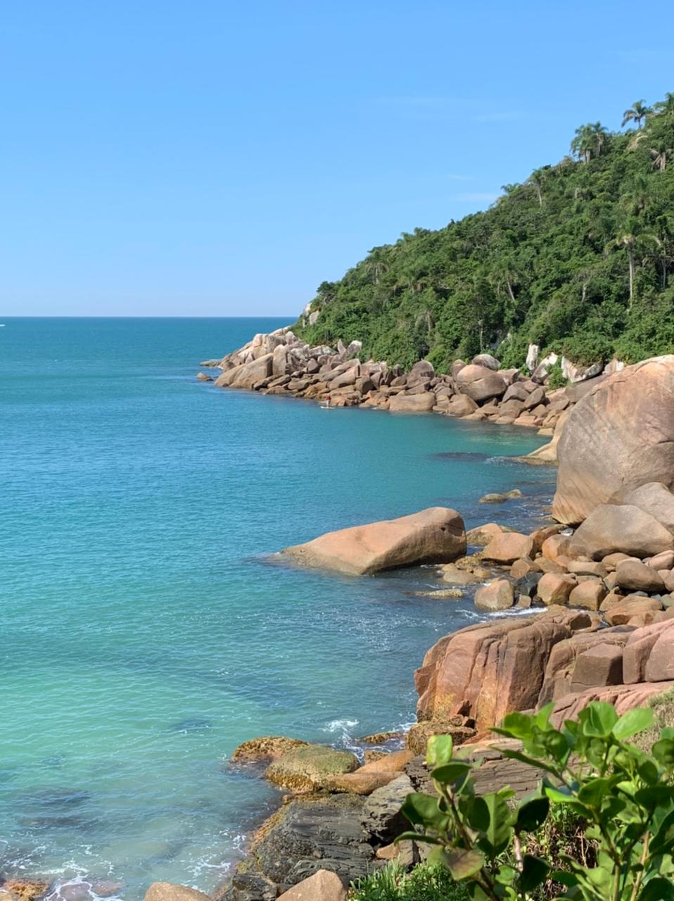 Trilha entre a Praia das Gaivotas e a Praia Brava em Florianópolis
