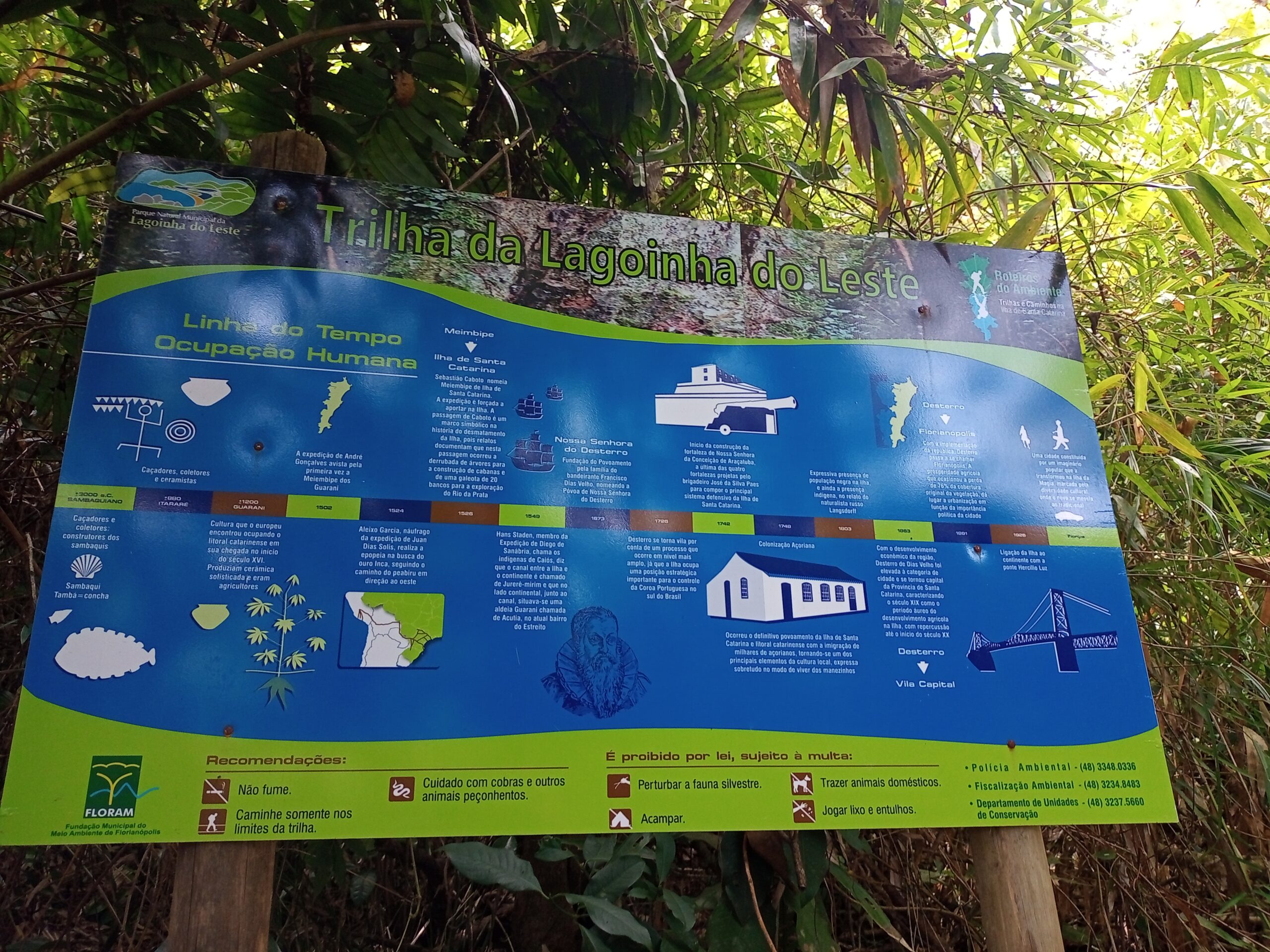 Caminho da trilha da Lagoinha do Leste em Florianópolis